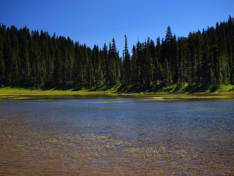 Junction Lake