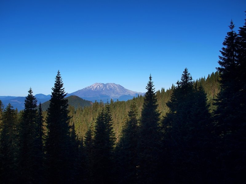 Mount St. Helens from the Placid Lake Trail