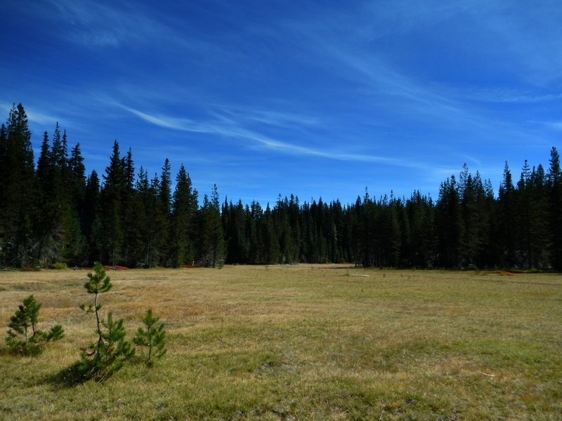 The Indian Race Track in summer