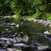 Siouxon Creek near the Wildcat Trail