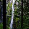 Wildcat Falls from below