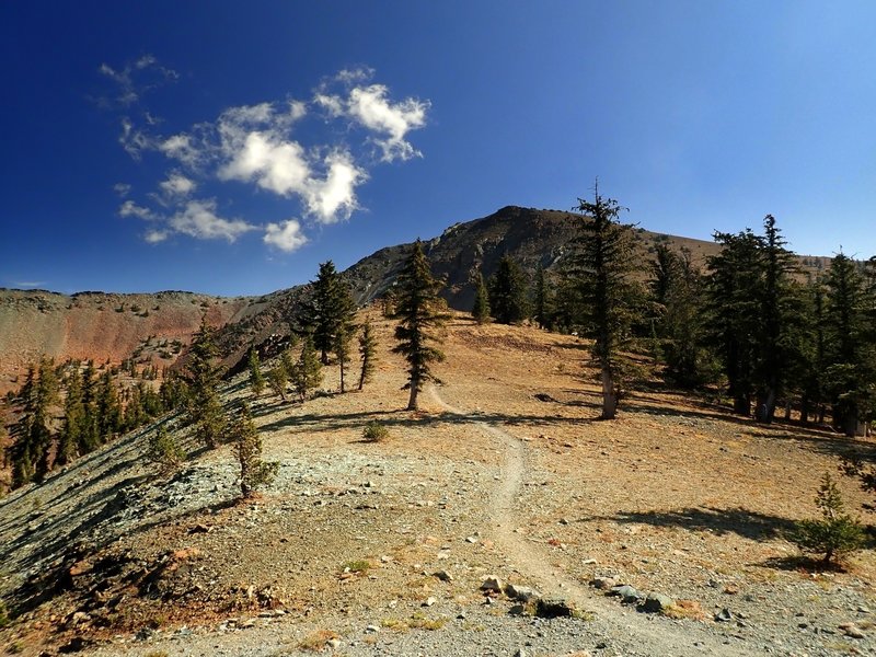 Mount Eddy Summit Trail at Deadfall Summit