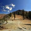 Mount Eddy Summit Trail at Deadfall Summit