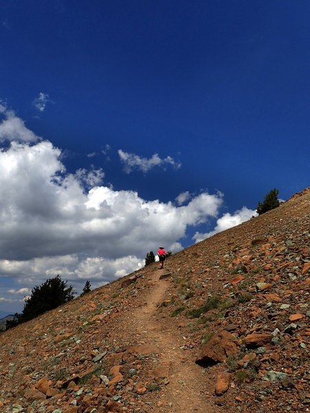 Up the Mount Eddy Summit Trail