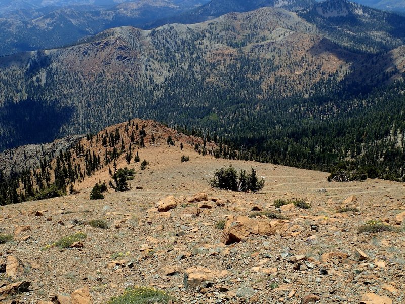 Looking down the Mount Eddy Summit Trail