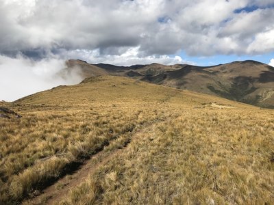 Heading along the final section of the walk. This section will likely get covered with cloud and so caution is needed to stay on the track.