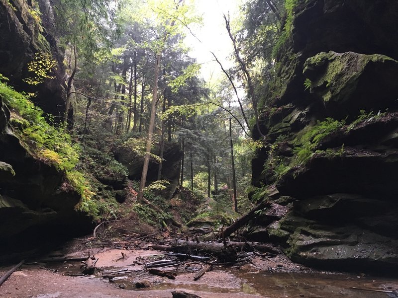 Looking down the gorge