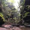 Looking down the gorge