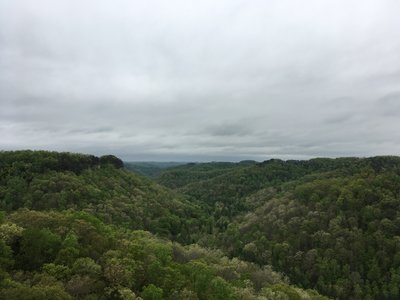 Spaas Creek Overlook off Hatton Ridge