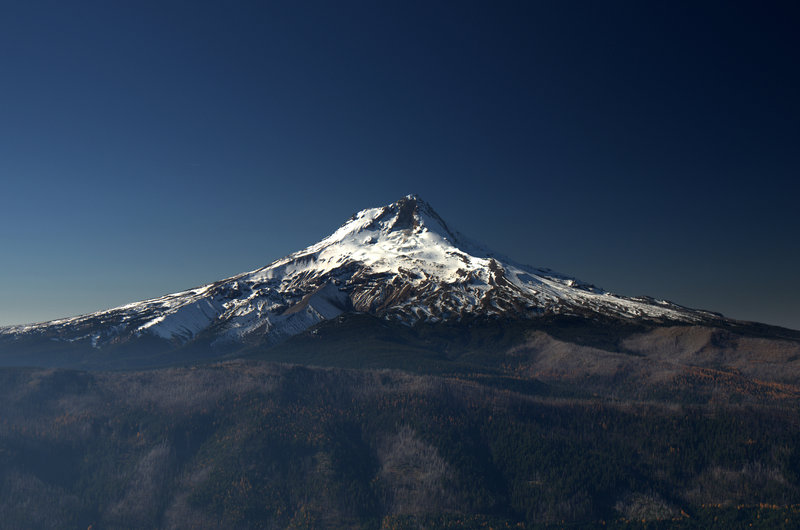 Mount Hood from Lookout Mountain