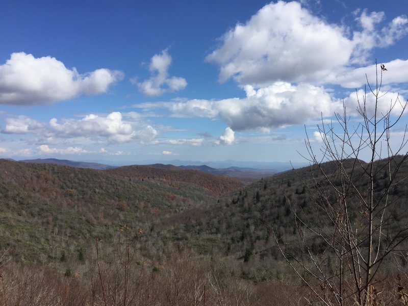 Expansive views across the Smoky Mountains from along the Graveyard Ridge Trail