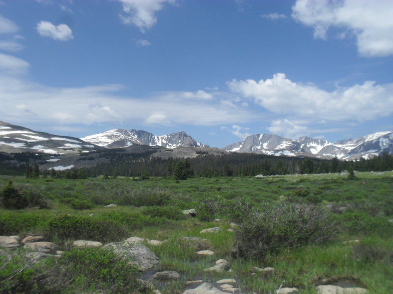 Elk Lake Area- View of Cloud Peak Wilderness. (July 2017)