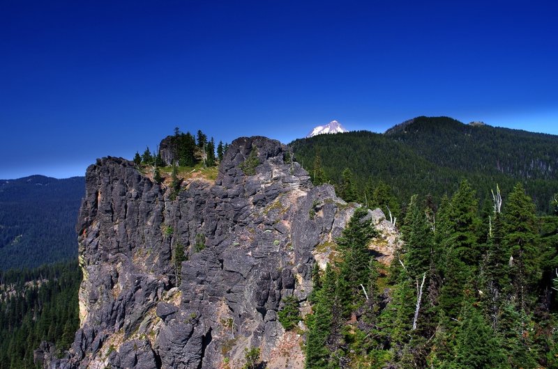 The view from near the end of the Fret Creek Trail