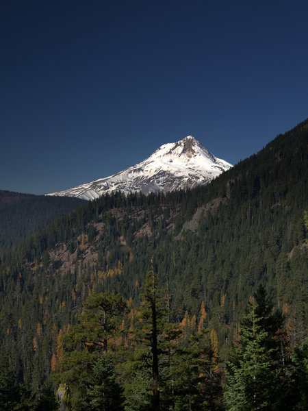 Mount Hood from along the Badger Creek Cutoff Trail