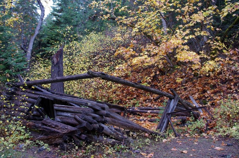 Kinzel Cabin