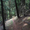 The Little Badger Trail on the ridge above Little Badger Creek