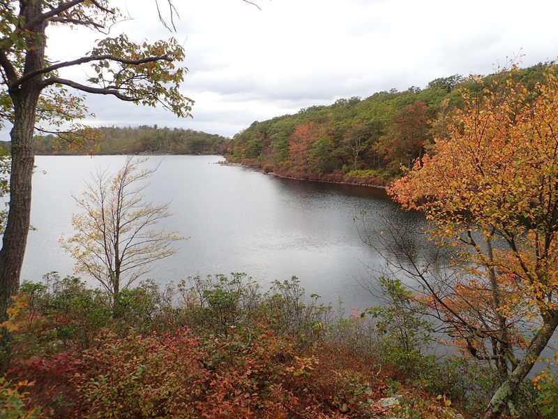 Sunfish Pond from Turquoise Trail lunch spot