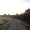 View of the well-maintained gravel walking surface in the front trails