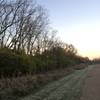 Bird boxes along the margin of the trails.