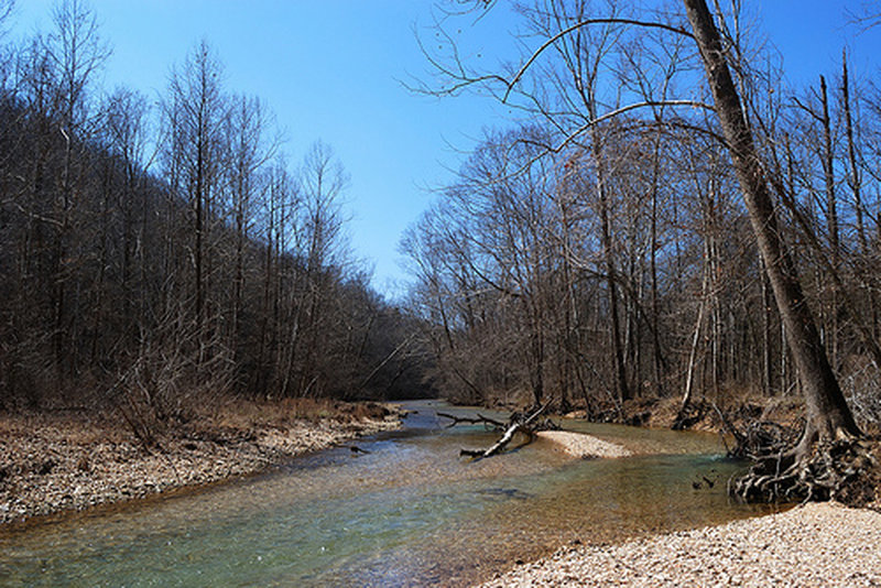 Camp Creek