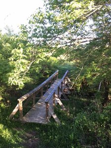 One of the connecting bridges