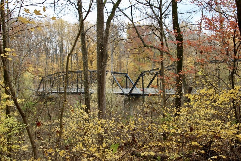 A view from Trail 3 looking back at the foot bridge to Rose Island.