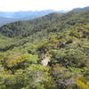 A break in the trees along the ridge.