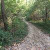 Dogwood Hill Trail where it connects to the First Avenue Loop