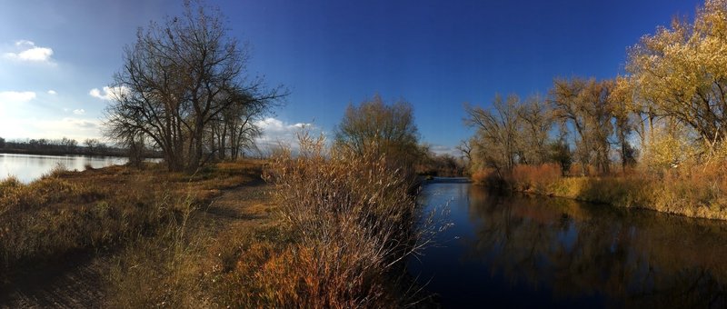 View betwen the Big Bass Pond and Cache la Poudre River.