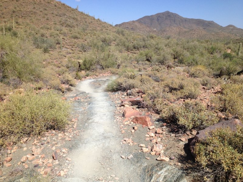 Slate "steps" on the Slate Trail.