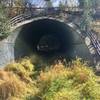 This is the tunnel that goes under the Mt Lemmon Highway, near mile marker 22.  Went on this short hike on 11/10/17 and we could still see some fall colors!  Easy and neat hike!