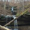 Tioga Falls, at the end of the short trail.