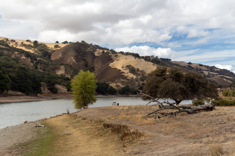 A lonely bench on the east shore of Lake Del Valle