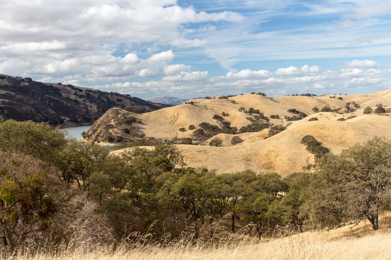 Burnt hills northwest of Ridgeline Trail