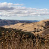 Del Valle hills through the thistles