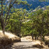 A very steep ascent on Squirrel Gulch Trail