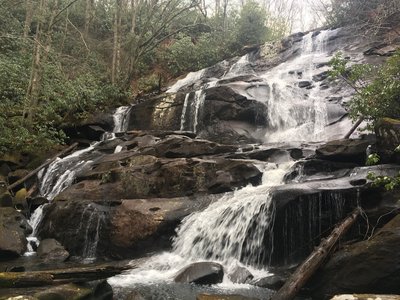 Sassafras Falls