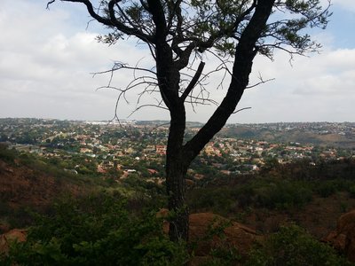 A view of suburbia from the Sunbird Trail.