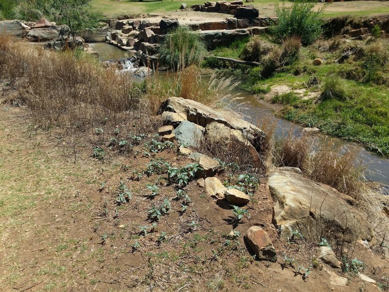 Klipriviersberg Silent Pool