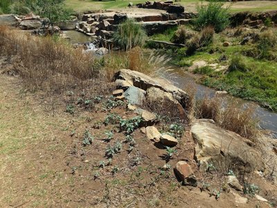 Klipriviersberg Silent Pool