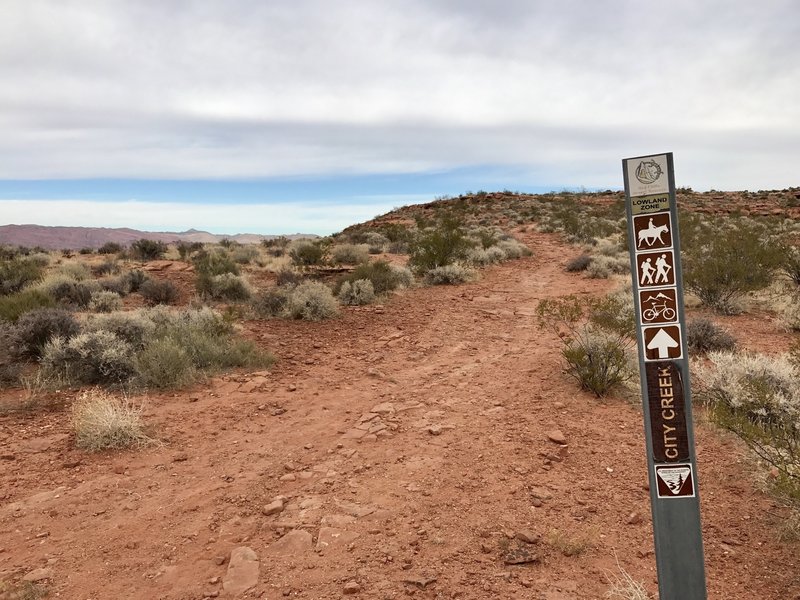 Start of the trail at the south end where it branches off from Owen's Loop