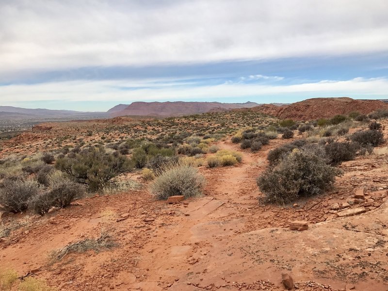 View of the red rocks