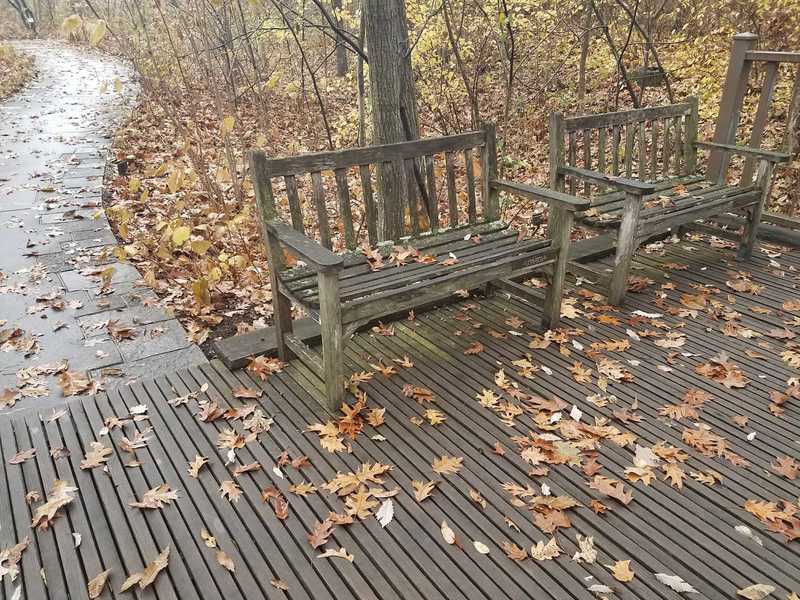 A place to sit and enjoy autumn in November-Woodland Garden at Powell Gardens