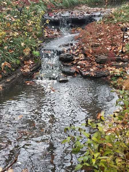 Autumn Waterfall-Woodland Garden at Powell Gardens