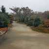 Trail to the Heartland Harvest Garden in November-Powell Gardens