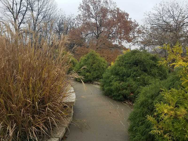 Fall Color in the Fountain Garden-Powell Gardens