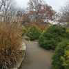 Fall Color in the Fountain Garden-Powell Gardens