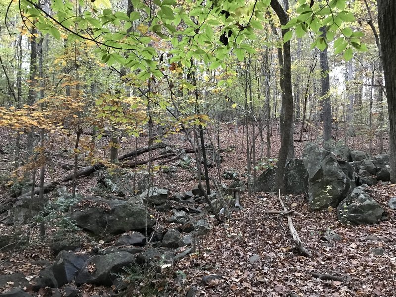 Dry Creek on an Fall day