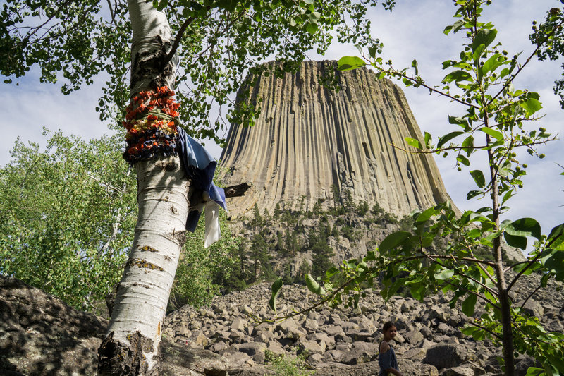 Prayer flags tied to the trees