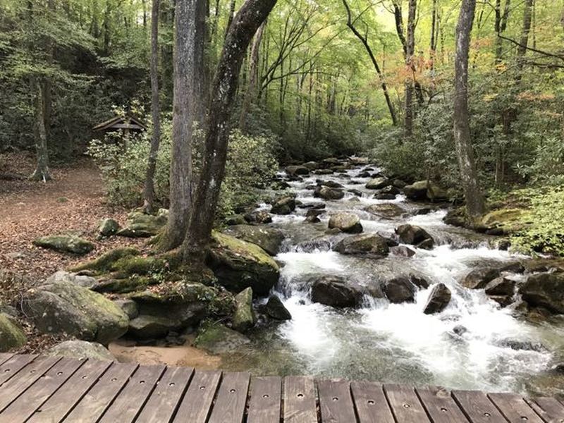 The Middle Saluda River near and across on Jones Gap Trail (to the left TH in pic and across bridge standing on, Jones Gap Ranger Station and emergency 911 phone since no cell signal).